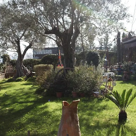 Iliada